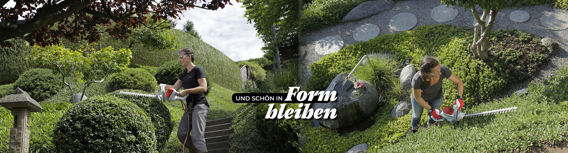 Frau schneidet alle hecken mit der Heckenschere in Form